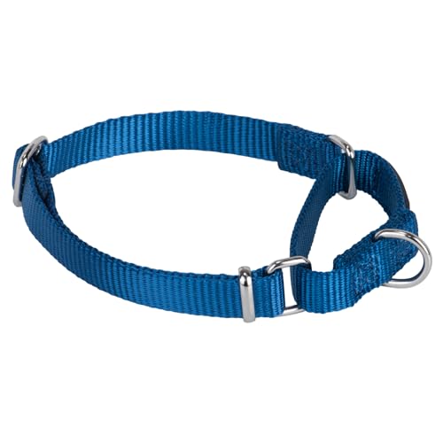 Martingale Collar for Dogs Small Blue (Small / Classic blue)