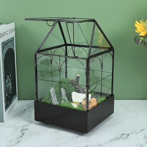 Glass Terrarium with Metal Tray (Small-5.9"L x 5.9"W x 10.2"H)