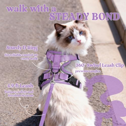 Cat Harness and Leash Set (M / Purr-ple Daisy)