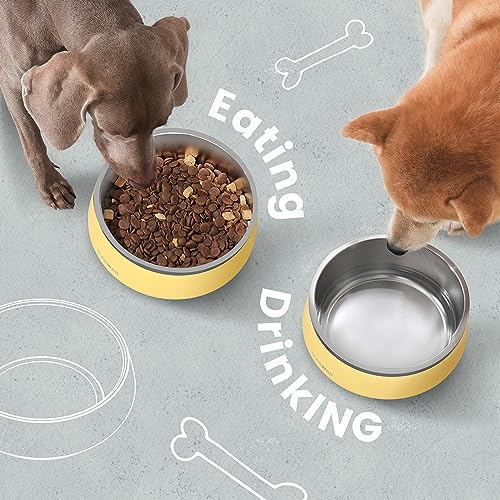 Dog Bowl 34 oz Stainless Steel Food and Water Bowl (34oz / Cheese Yellow)