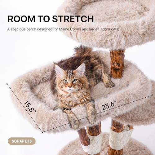 Maine Coon Cat Tree for Large Cats (Beige / 44"H)