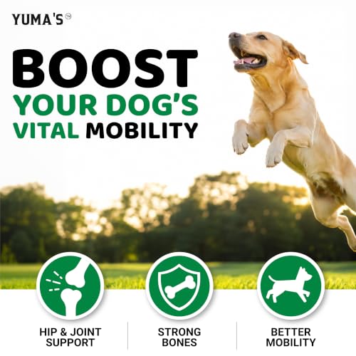 Hemp Hip and Joint Supplement for Dogs (Hemp Hip & Joint Chews / 170 Treats)