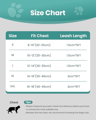 Cat Harness and Leash Set (Green / S(Chest 8-10"))