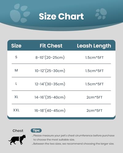 Cat Harness and Leash Set (Tranquil Teal / L(Chest 12-14"))