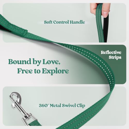 Dog Harness Small Sized and Leash Set (Rainforest Green / S (chest: 15.1 - 16.5"))