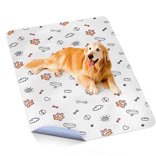 Washable Pee Pads for Dogs (Gray / 48X60 (1 Pack))