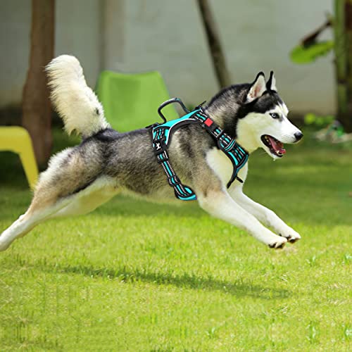 No Pull Dog Harness with 3 Leash Clips and Vertical Handle (Large / Mint Blue)