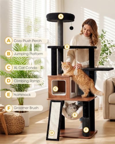 61" Modern Cat Tree (Walnut)