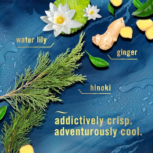 Bathroom Air Freshener Small Spaces Odor Fighter Ocean Scent 4ct (0.06 Ounce (Pack of 4))
