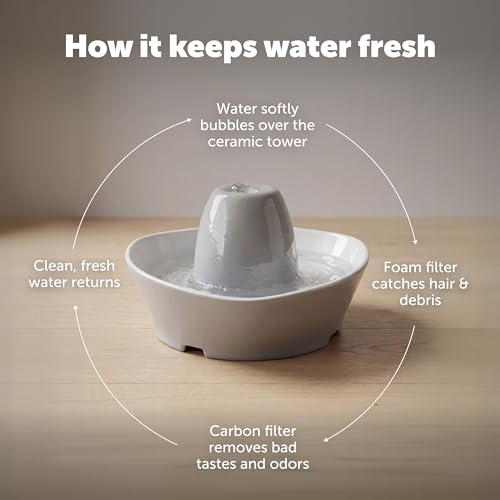 Creekside Ceramic Pet Fountain (Fountain + 4 Carbon Filters)