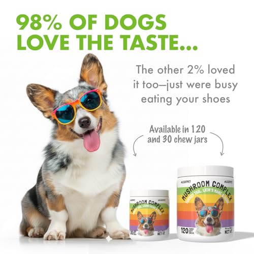 Mushroom Complex Treats for Dogs with Reishi (Mushroom / 30)
