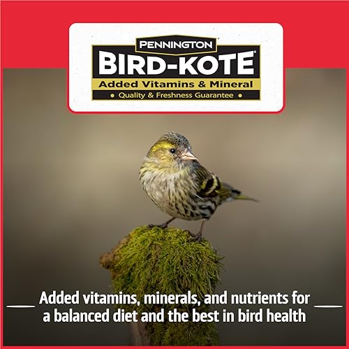 Classic Natural Oil Sunflower Seed Bird Food (10 pounds)
