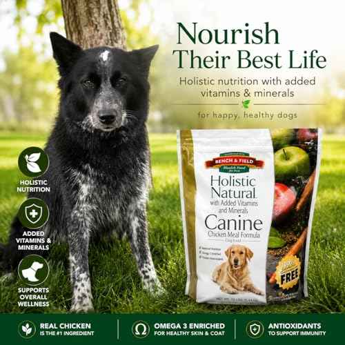 Holistic Premium Dry Dog Food (6.6 Pound (Pack of 3))