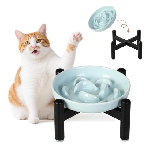 Elevated Ceramic Slow Feeder Cat Bowl (Blue Raised (Metal) / 3.9"H Raised (Metal))