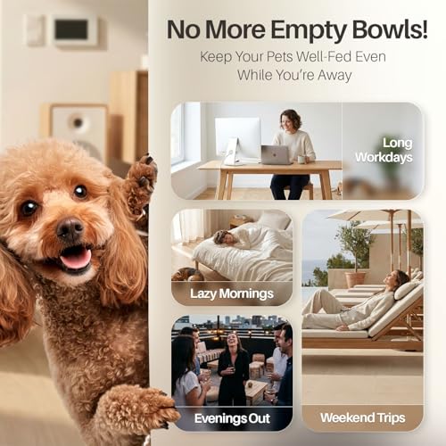 Gravity Pet Feeder (6-12 lb Feeder (3 Gallon) / Feeder)