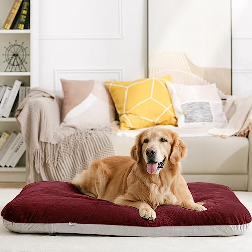 Orthopedic Extra Large Dog Bed 47 Inch (47.0"L x 39.0"W x 5.0"Th / Burgundy)
