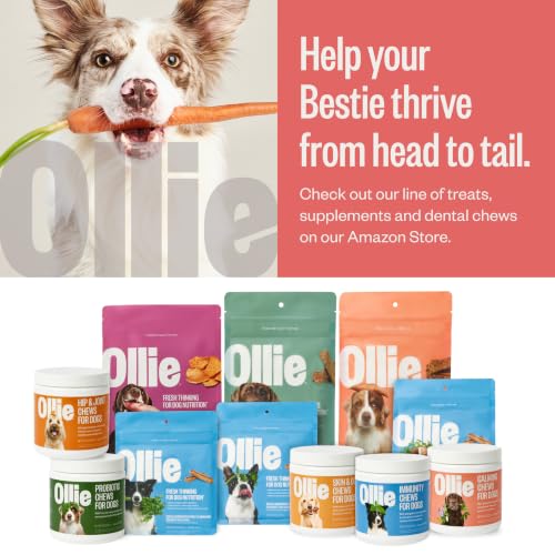 Chill Pills Calming Supplement Chews