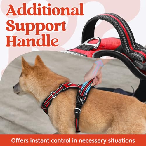 Dog Harness for Large (Red / Large)