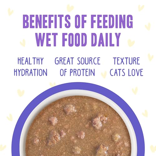 B.F.F. OMG Best Feline Friend Oh My Gravy! (2.8 Ounce (Pack of 12))