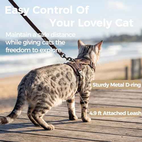 Cat Harness and Leash Set (Brown / Medium)