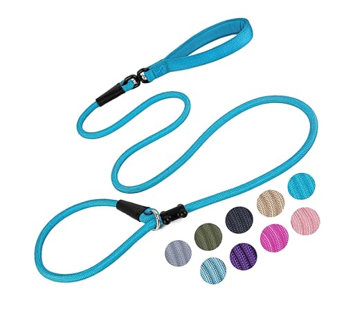 Slip Lead Dog Leash (1/2"×6ft / Blue)