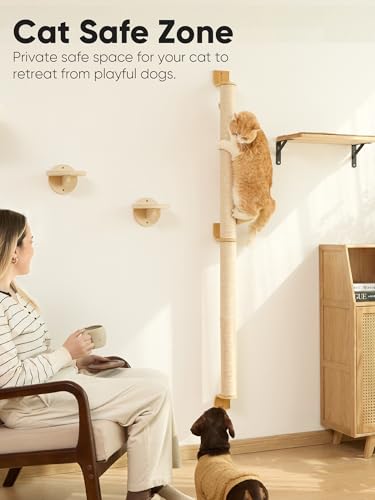 Cat Wall Scratcher (60 inch)