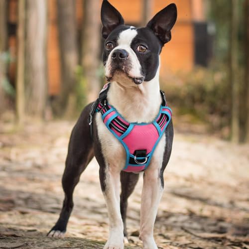 Dog Harness Small Sized (Pink & Blue / Small)
