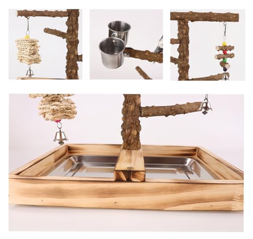 Bird Perch Stand (Style B)