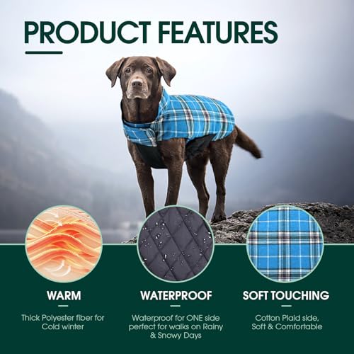 Waterproof Dog Coat (Blue / 2X-Large (Pack of 1))