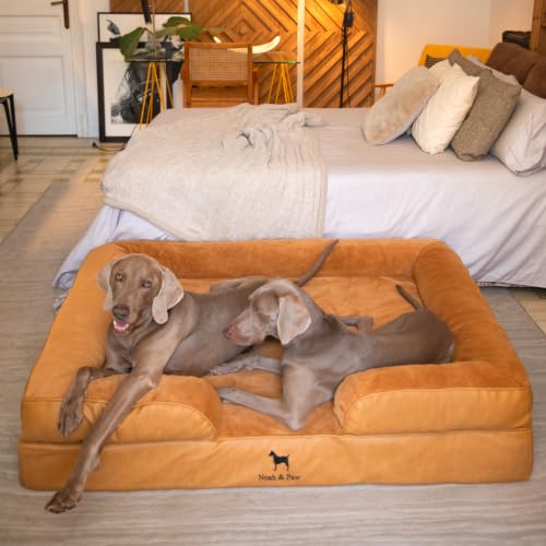 XXL Dog Bed Orthopedic Memory Cooling Foam (Camel - LE / XX-Large)