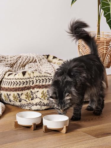 Ceramic Dog and Cat Bowl Set with Acacia Wood Stand (S-2 Cups / Lines+Dot)