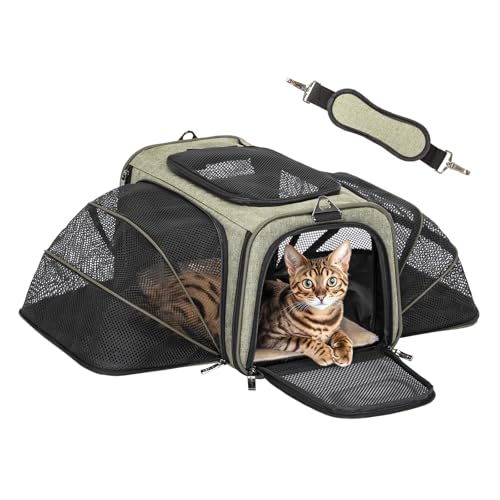 Small Double Expandable Cat Carrier for Kittens and Air Travel (16.0"L x 10.0"W x 9.0"H / Green)
