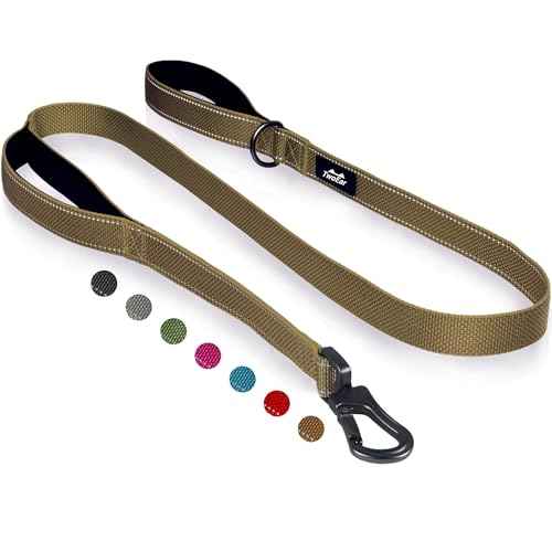 4FT 1IN Heavy Duty Dog Leash for Large Dogs with 2 Padded Handles (Brown / 1 in x 4 ft)