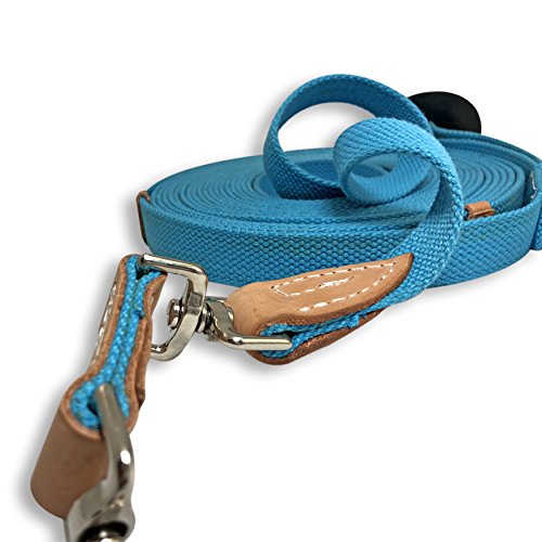 35' Flat Cotton Web Lunge Line with Bolt Snap & Rubber Stop (Turquoise / 35')