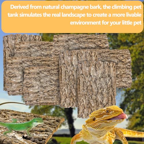 8PCS Cork Terrarium Background 15.7x11.8in Natural Large Cork Bark Backdrop Reptile Climbing Mat Tank Habitat Decor for Spider Lizard Chamelon Turtle Beared Dragon (8PCS-15.7x11.8in)