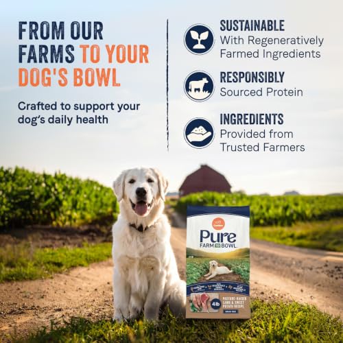 Pure Farm to Bowl (4 Pound (Pack of 1))