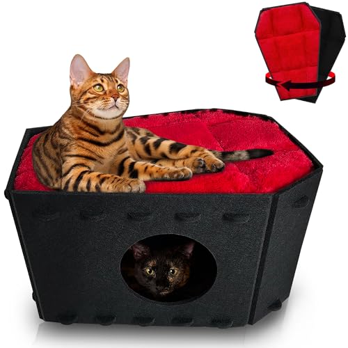 Gothic Cat Bed for Indoor Cats or Pets