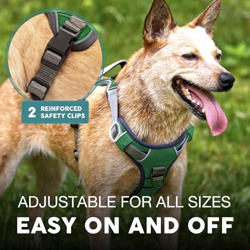 Embark No Pull Dog Harness (XS / Green)
