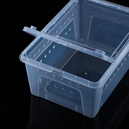2 Pack Reptile Box Escape