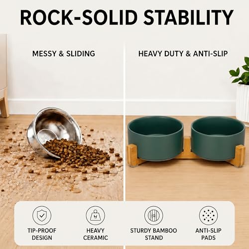 Ceramic Dog and Cat Bowl with Wood Stand Non (3.6 cups / Green × 2)
