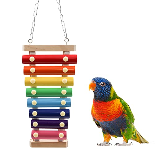 Colorful Bird Xylophone Toy (Hanging Mount / 8 Keys)
