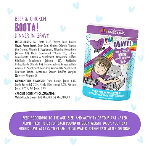B.F.F. OMG Best Feline Friend Oh My Gravy! (2.8 Ounce (Pack of 12))