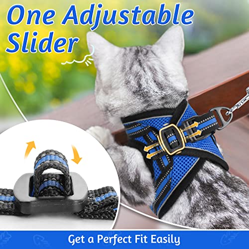 Cat Harness and Leash Set (M / Blue)