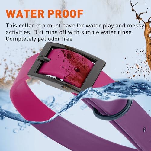 Biothane Waterproof Dog Collar Strong Coated Nylon Webbing with Black Hardware Odor (W1" x L18-22" / Magenta Pink)