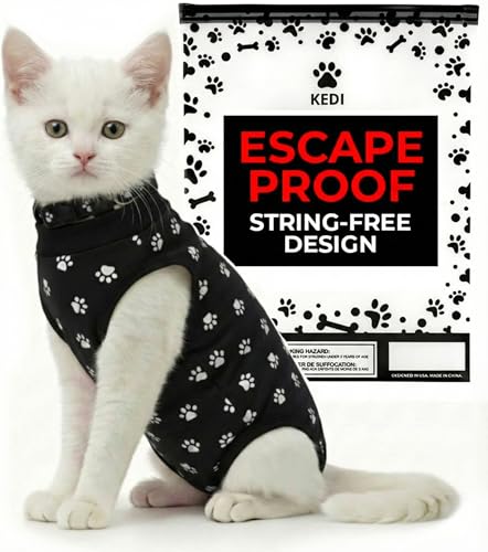 Kitten Recovery Suit Female After Spay (Black / Small)