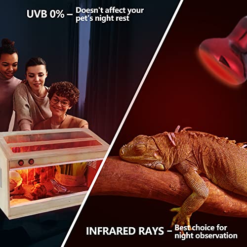 75W Reptile Heat Lamp Bulbs 2 Pack (Infrared Basking Light Bulb / 75 Watts)
