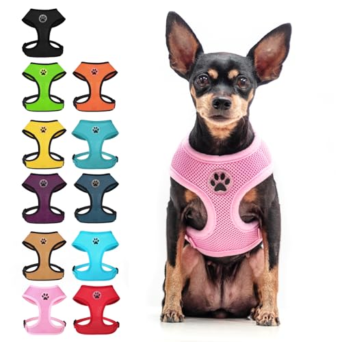 Small Dog Harness (XS (NECK: 10", CHEST: 10"-14") / Pink)