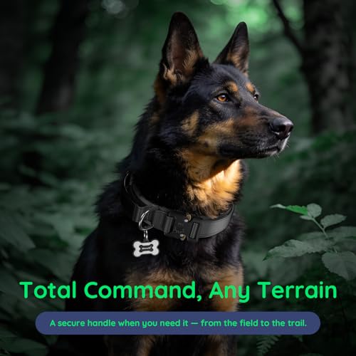 Premium Tactical Dog Collar (Classic Black / M: Fits Neck 14.5"-18.5")