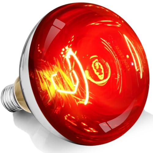 250W R40 Red Heat Lamp Bulbs (Red / 1 Pack)