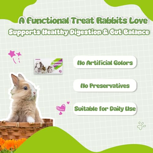 Rabbit Digestive Treats